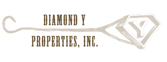 Diamond Y Logo